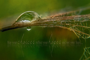 Water-drop Reflection Choices Hopes Quote Print by Christina VanGinkel