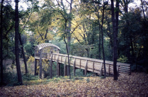 Tell us about yourself