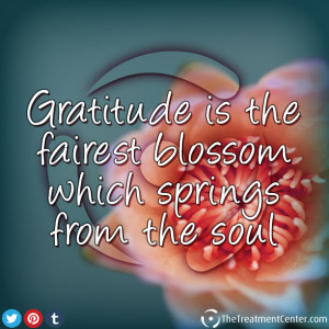 ... in life we have to be grateful for. Check out these gratitude quotes