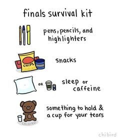 ... Funny Stuff, Finals Survival Kit, Exam Funny Student, Final Survival