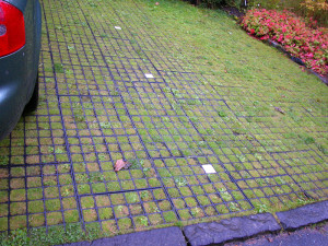 Permeable Pavers For Driveways With Grass