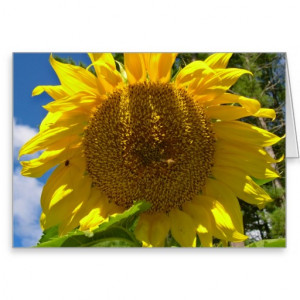 Christian Sunflower Birthday Card Cards