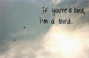 If you're a bird, I'm a bird (the notebook)