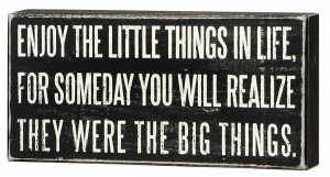 Enjoy The Little Things Box Sign