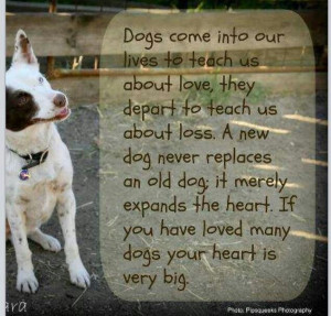... have learned so much from having my dogs in my life, especially love