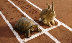 Hare-and-tortoise-on-runn-008.jpg
