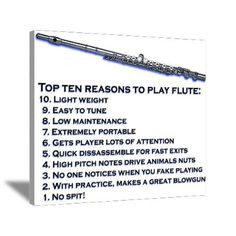 Reasons to play the flute More