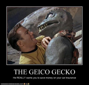 Funny Geico Gecko Pictures