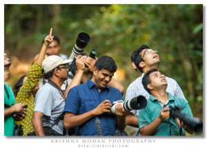 Bird Watching Washington