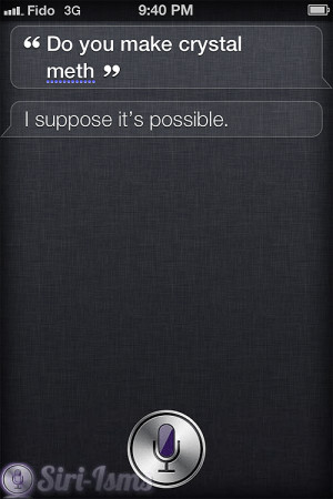 Do You Make Crystal Meth? - Siri Quotes