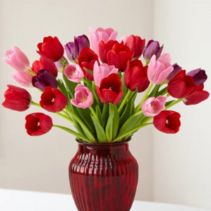 Tulips for Your Love – $39.99