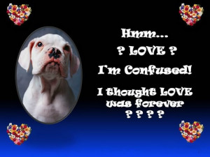 short confused love quotes Confused Love Quotes and Sayings