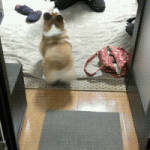 ... Cyrus style Everybody has heard of twerking Anti Twerking Parenting