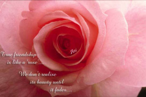 This picture was submitted by Ani.