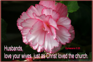 Bible Verses Ephesians Husbands Love