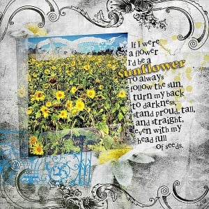 Sunflower Quotes Tumblr