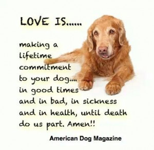 Dog Quotes Love