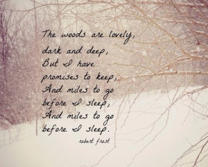 ... to go before I sleep quotes outdoors winter trees woods snow sleep