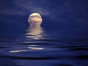 Lovely Wallpapers and Quotes