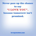 love you extraordinary marriage true love few have seen why do i love ...