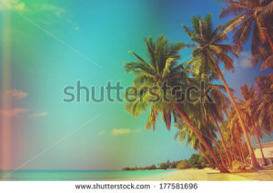 Vintage stylized tropical beach with palm trees - stock photo