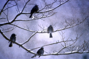 Are Two Really Better Than One? – 5 Keys to Godly Marriage