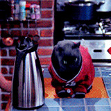 ... mg Sabrina the teenage witch Salem Saberhagen salem salem the cat