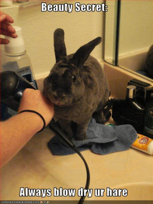 Showing Favoritism Children Quotes