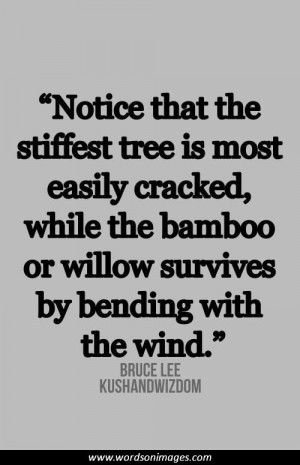 Inner peace quotes mind quotes spiritual quotes