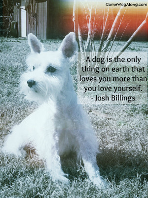 Top 10 Favorite Dog Quotes