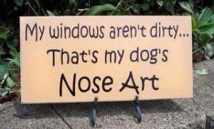Dog nose art :)