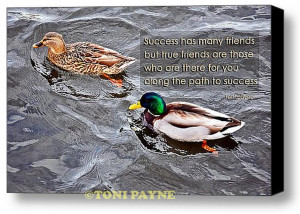 Ducks in a Lake Friendship Quote Gallery Wrapped Canvas or Rolled ...