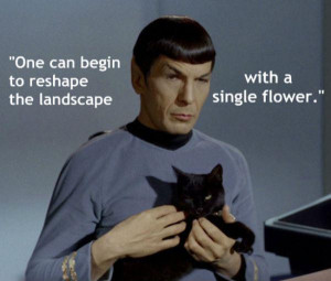 mr spock brilliatn quotes 58013 hi resolution mr spock brilliatn ...