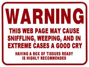 When you are ready, listen to the examples in the audio player below ...