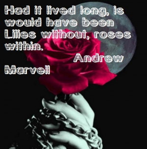 ... .org/quotes/rose-quotes/elegant-rose-quote-by-andrew-marvell