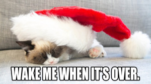Grumpy Cat Meme Christmas