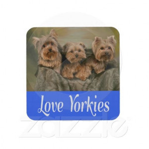 Love Yorkies Yorkshire Terrier Puppy Dog Coaster