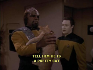 ... RSS Feed Report media Star Trek TNG: Data's cat, Spot. (view original