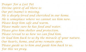 Our best thoughts to each lost/found pet and the kind hearts that help ...