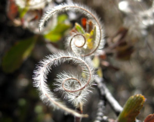 ... Journey is a Spiral Descending into the Depths of Our Union with God