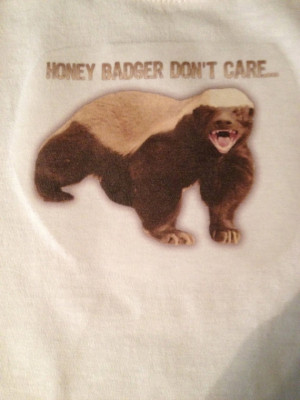 Honey Badger Don't Care - funny sayings on tshirt, onesie, Infant Tee ...
