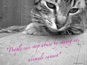STOP ANIMAL ABUSE by Malficient