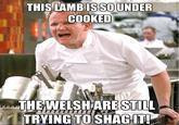 Angry Ramsay sayings This chicken is so raw it still wants to fight ...