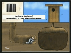 It Could Be Worse.