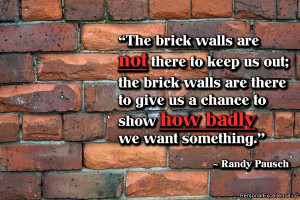 Throughout life every one of us will face a brick wall. Some of these ...