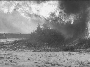 Lord of the Flies Island