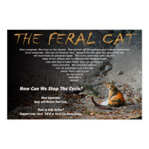 the_feral_cat_poster-ra12b639ed56544fbb05a73e3b1b951d9_ah5z_8byvr_512 ...