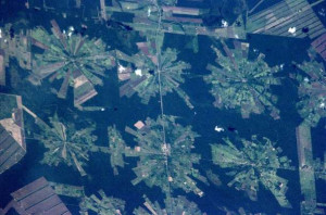 Satellite images of deforestation in Eastern Bolivia (Photo credit ...
