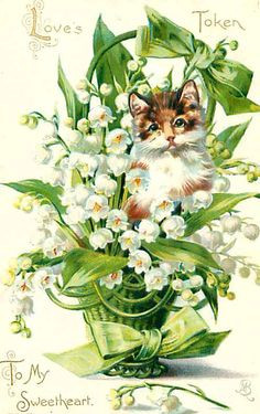 vintage postcard with Lily of the Valley ~ 1908 More