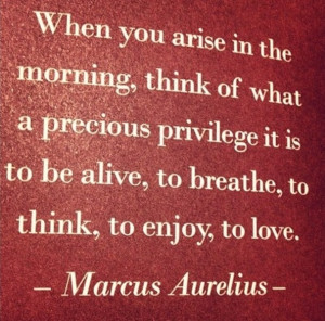 When you arise in the morning, think what a precious privilege it is ...